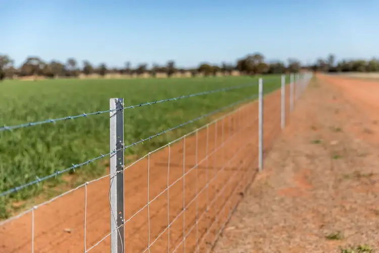 Sixth view of Homely rural property listing, 3502 Numalla Road, Peak Hill NSW 2869