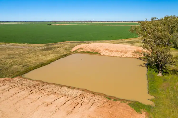 Seventh view of Homely rural property listing, 3502 Numalla Road, Peak Hill NSW 2869