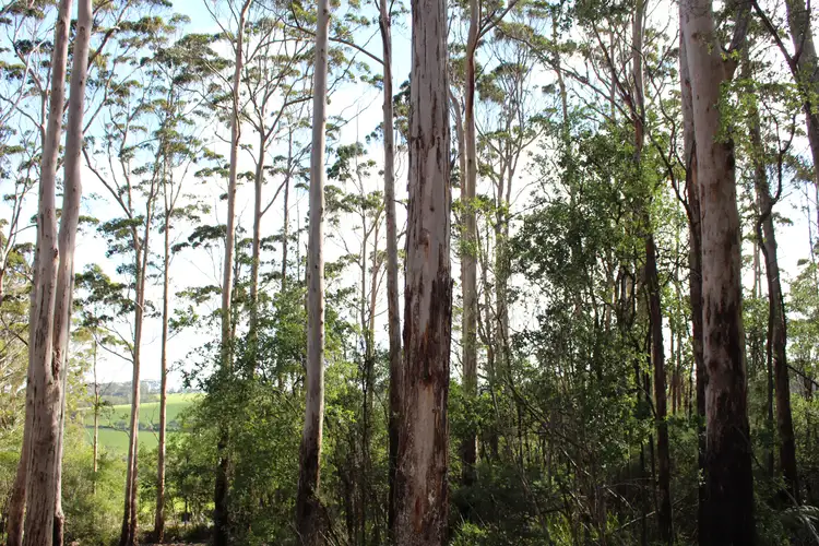 Second view of Homely land listing, 44 Middleton Close, Denmark WA 6333