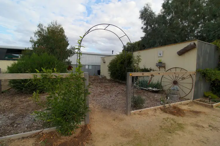Seventh view of Homely land listing, 59 Railway Terrace South, Lameroo SA 5302