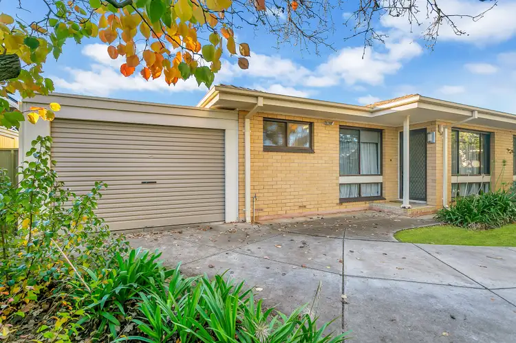 Third view of Homely unit listing, 5/1A Avondale Street, Clarence Park SA 5034