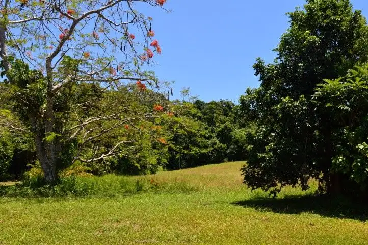 Sixth view of Homely land listing, Lot 5 James Road, Mission Beach QLD 4852