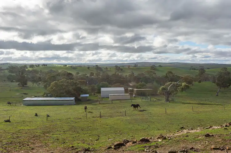 Fifth view of Homely rural property listing, 152 Hoads FT Road, Tungkillo SA 5236