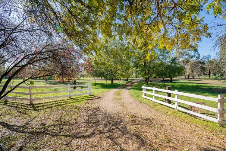 Main view of Homely house listing, 10 Norman Duck Avenue, San Isidore NSW 2650