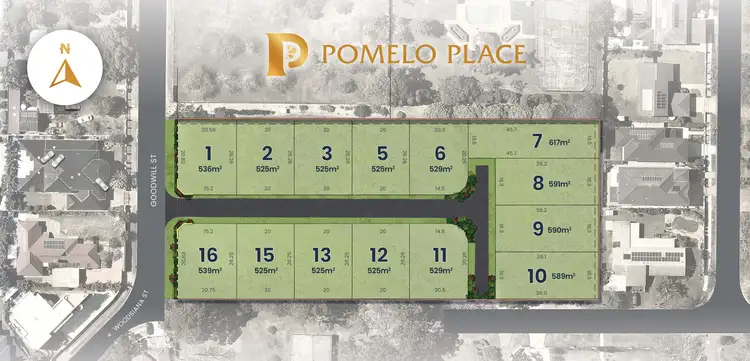 Lot 1 Goodwil Street (Pomelo Place), Robertson QLD 4109