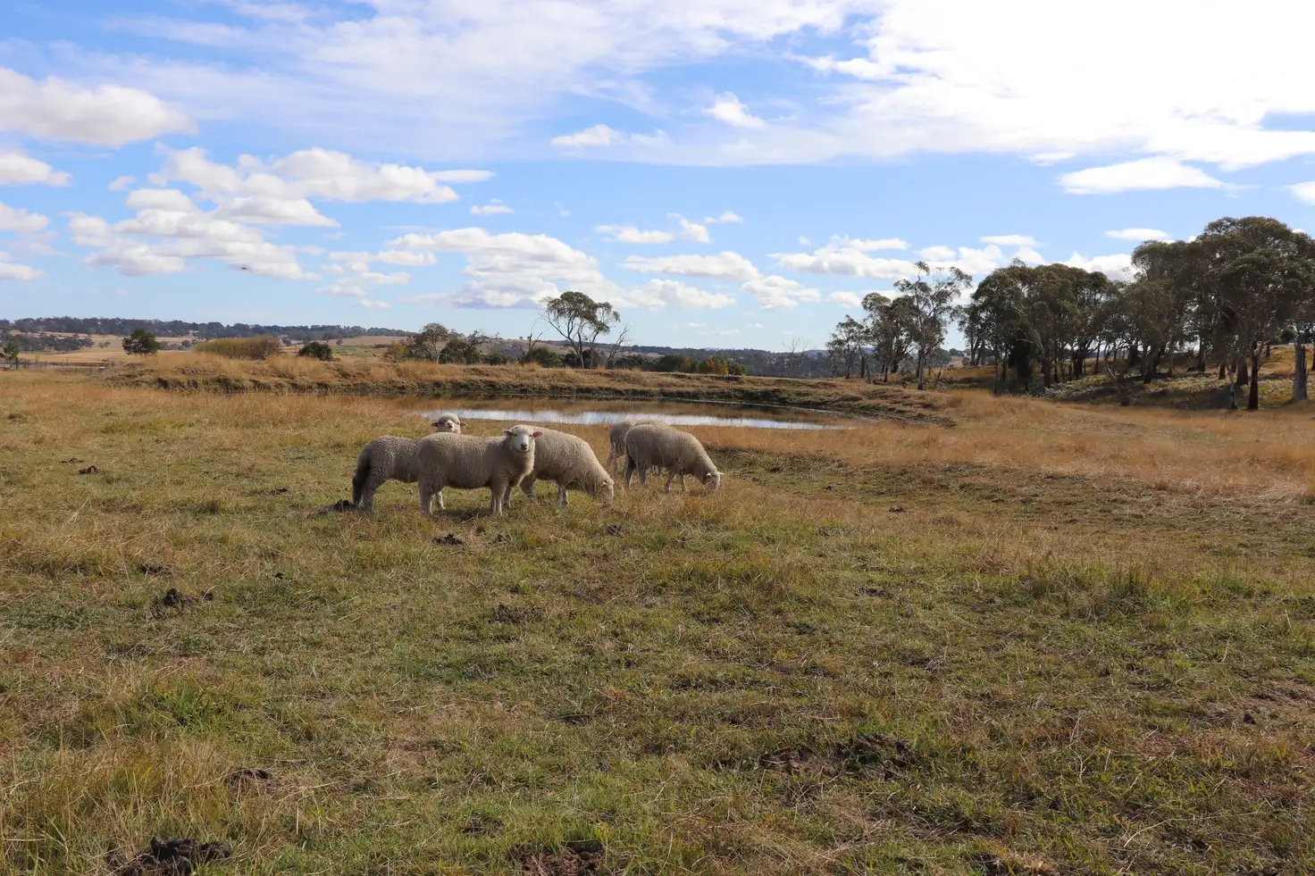 Main view of Homely land listing, 14 Sunnyview Drive, Shannon Vale NSW 2370