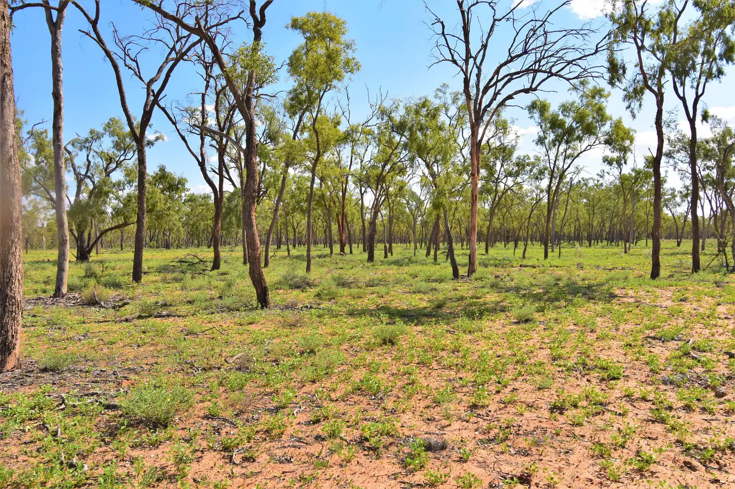 Main view of Homely rural property listing, Address available on request