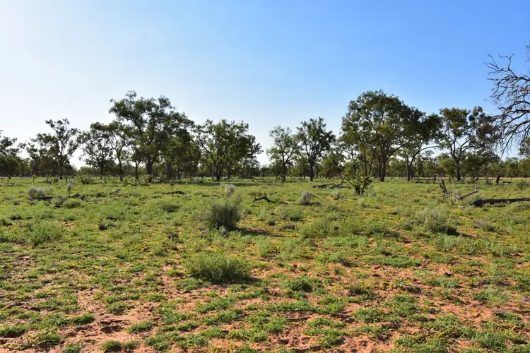 Third view of Homely rural property listing, Address available on request