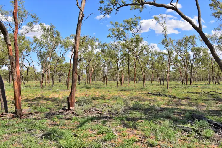 Fifth view of Homely rural property listing, Address available on request