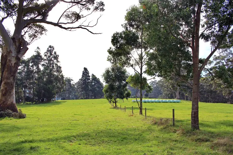 Second view of Homely rural property listing, 31 Pittam Way, Denmark WA 6333