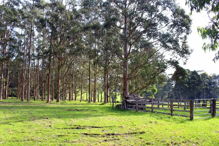 Sixth view of Homely rural property listing, 31 Pittam Way, Denmark WA 6333