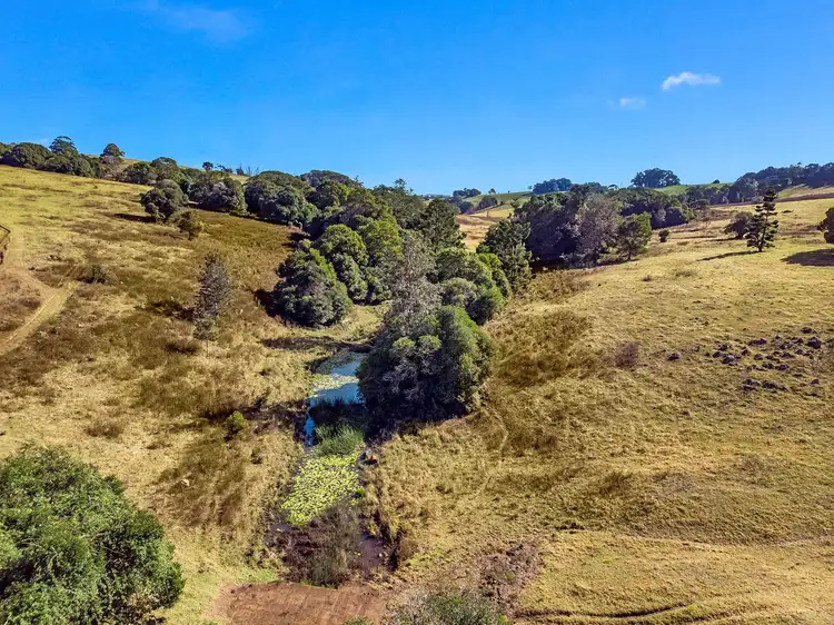 Sixth view of Homely rural property listing, 360 Binna Burra Road, Beechmont QLD 4211