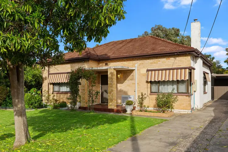 16 Hammersmith Avenue, Edwardstown SA 5039