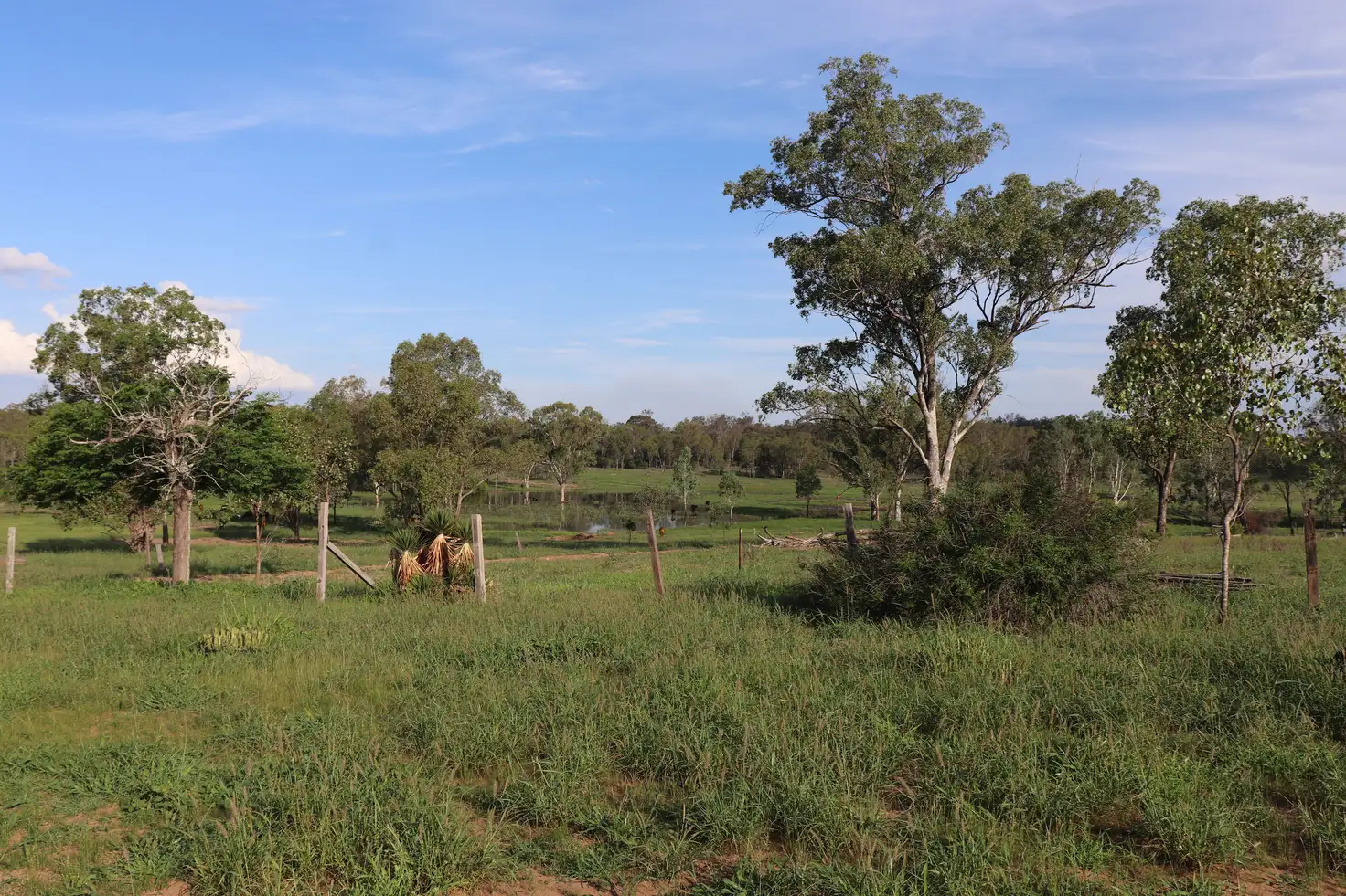 Main view of Homely rural property listing, 291 Ross Crossing Road, Eidsvold QLD 4627