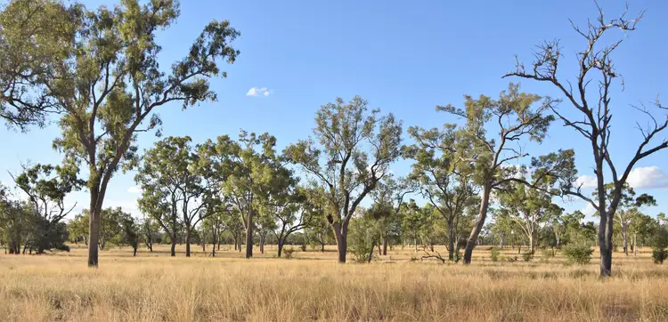 Main view of Homely rural property listing, 40565 Landsborough Highway, Barcaldine QLD 4725