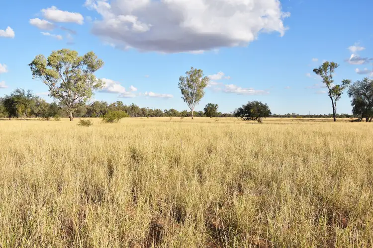 Third view of Homely rural property listing, 40565 Landsborough Highway, Barcaldine QLD 4725