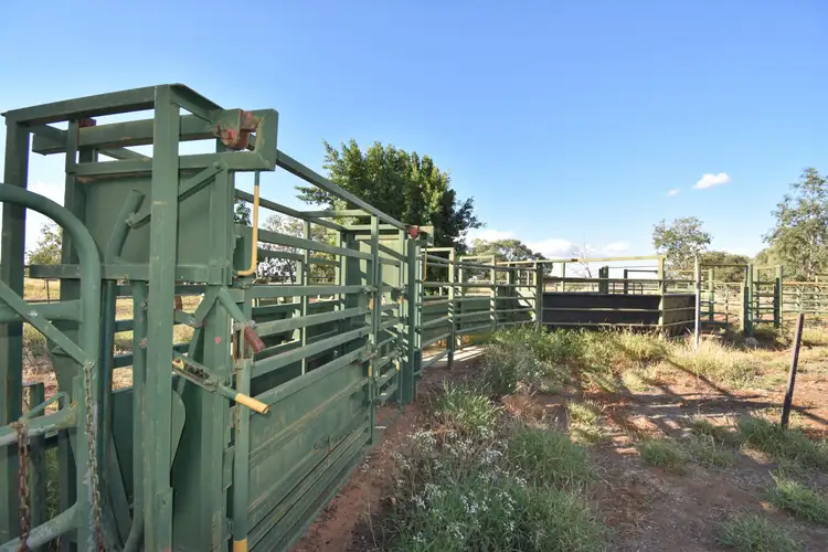 Sixth view of Homely rural property listing, 40565 Landsborough Highway, Barcaldine QLD 4725