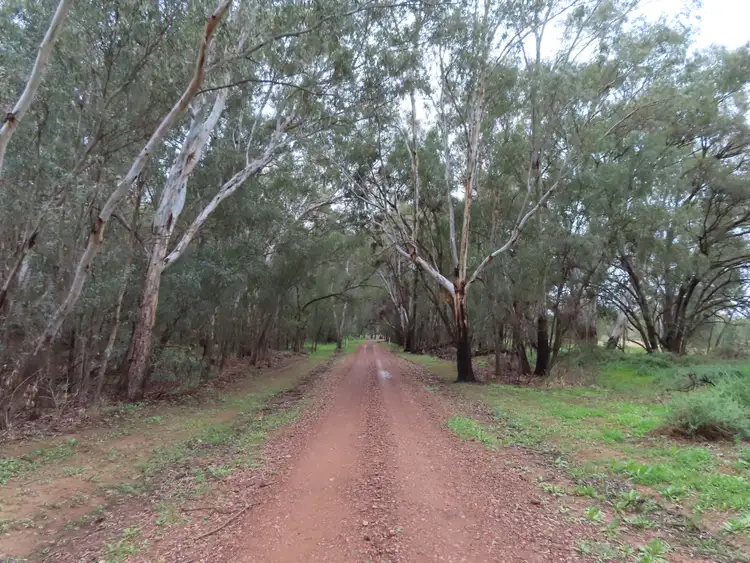 Fifth view of Homely house listing, "COOINDA" 69 Cooinda Lane, Condobolin NSW 2877