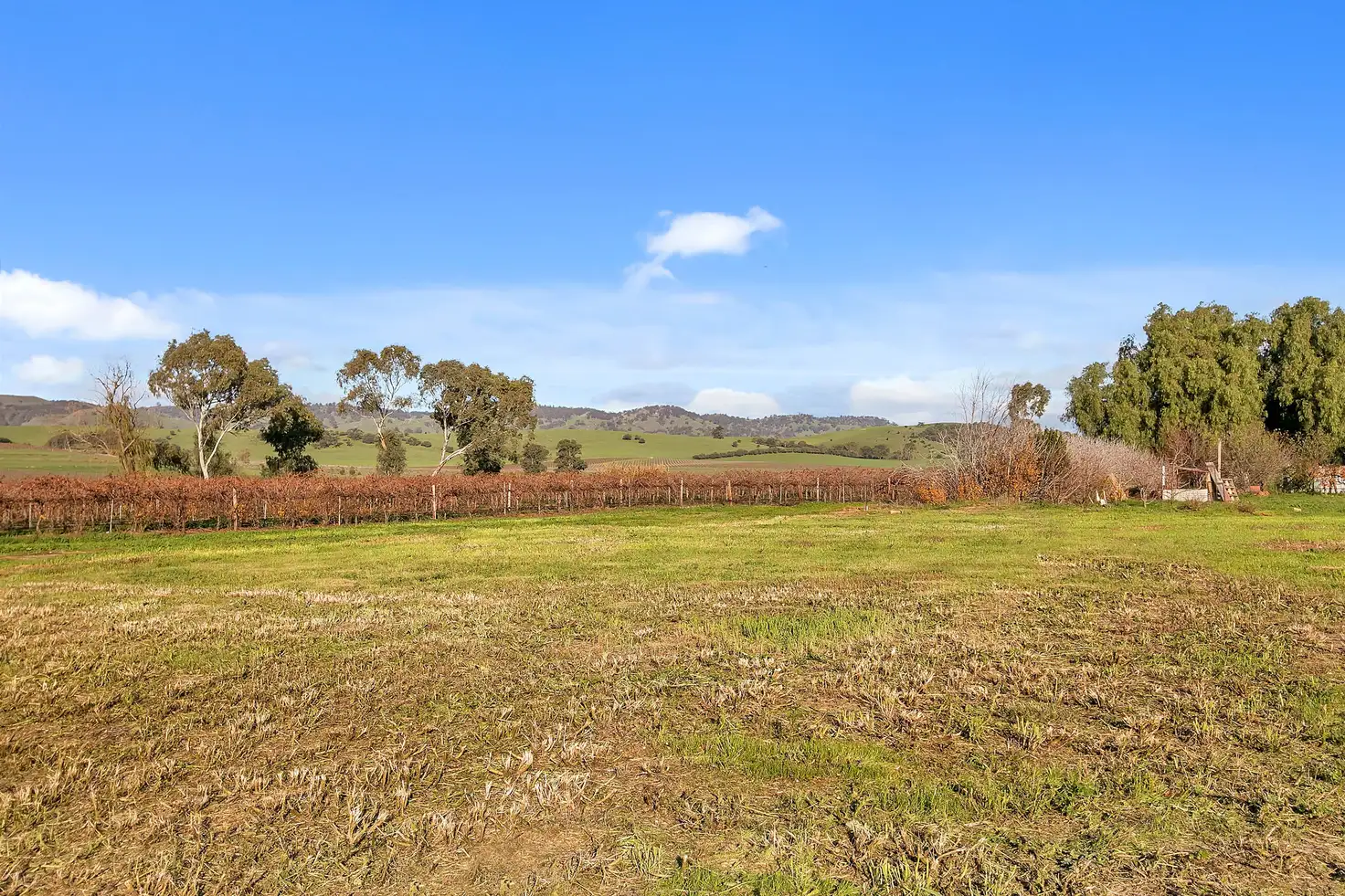 Main view of Homely land listing, 48 Barossa Valley Way, Lyndoch SA 5351