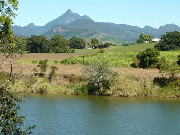 439 Tweed Valley Way, South Murwillumbah NSW 2484