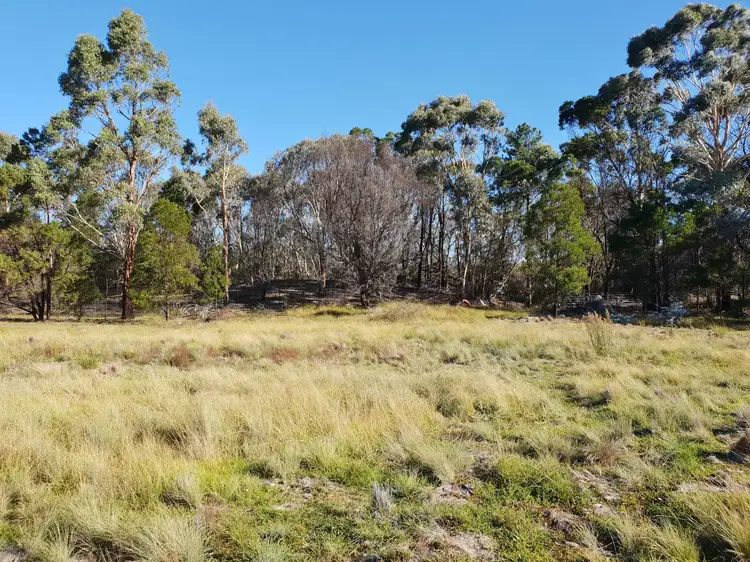 Fourth view of Homely rural property listing, Lot 23 Nerriga Road, Braidwood NSW 2622