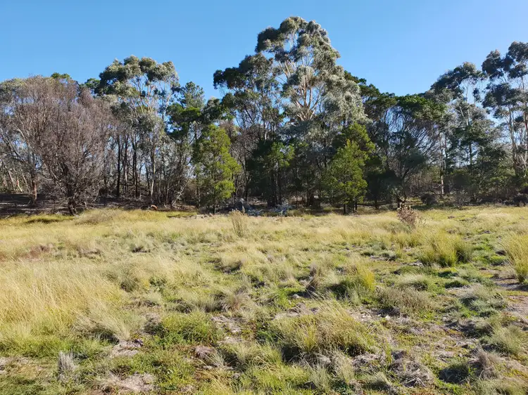 Fifth view of Homely rural property listing, Lot 23 Nerriga Road, Braidwood NSW 2622