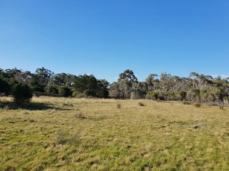 Seventh view of Homely rural property listing, Lot 23 Nerriga Road, Braidwood NSW 2622