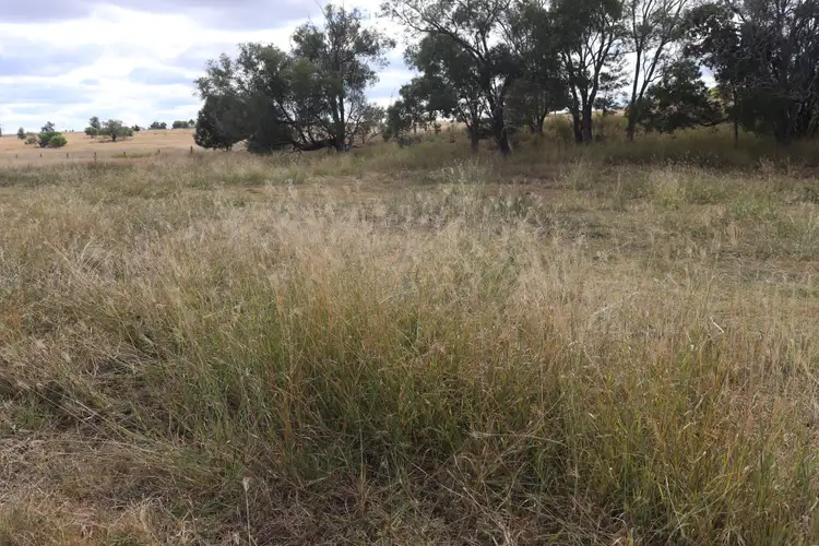 Fourth view of Homely rural property listing, 211 Eisenmengers Road, Murgon QLD 4605