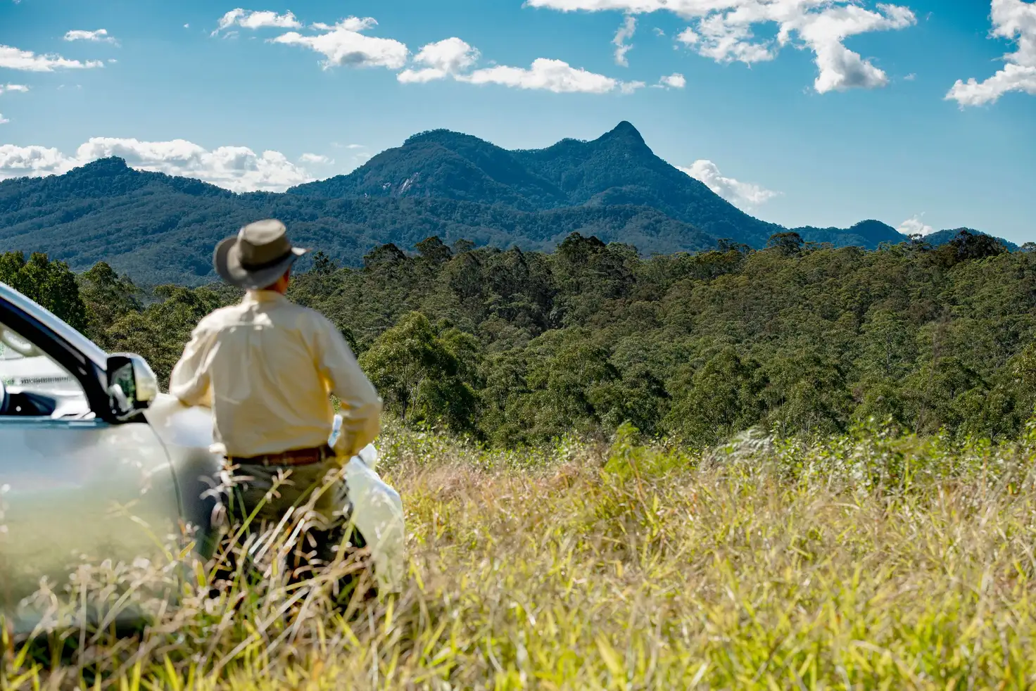 Main view of Homely rural property listing, 3222 Kyogle Road, Mount Burrell NSW 2484