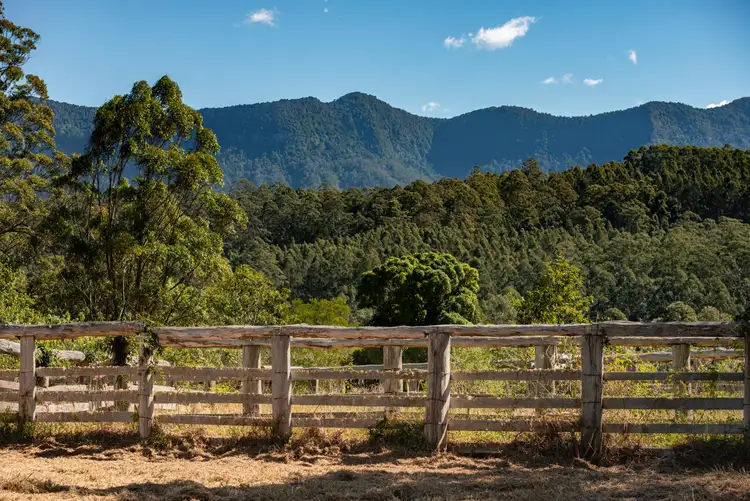 Third view of Homely rural property listing, 3222 Kyogle Road, Mount Burrell NSW 2484