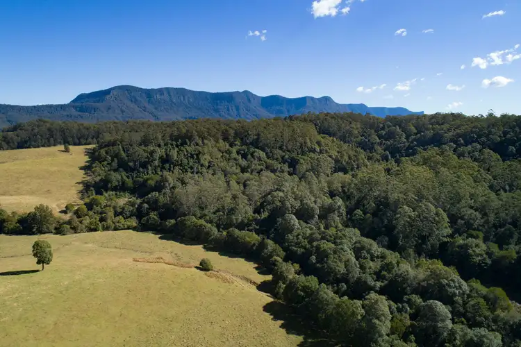 Fourth view of Homely rural property listing, 3222 Kyogle Road, Mount Burrell NSW 2484