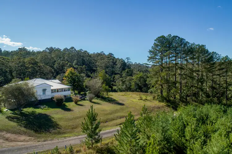 Sixth view of Homely rural property listing, 3222 Kyogle Road, Mount Burrell NSW 2484