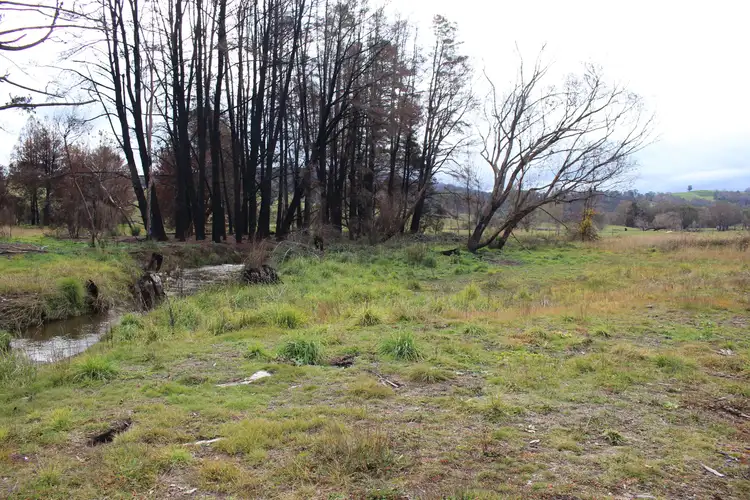 Fifth view of Homely land listing, 359 Batlow Road, Tumbarumba NSW 2653