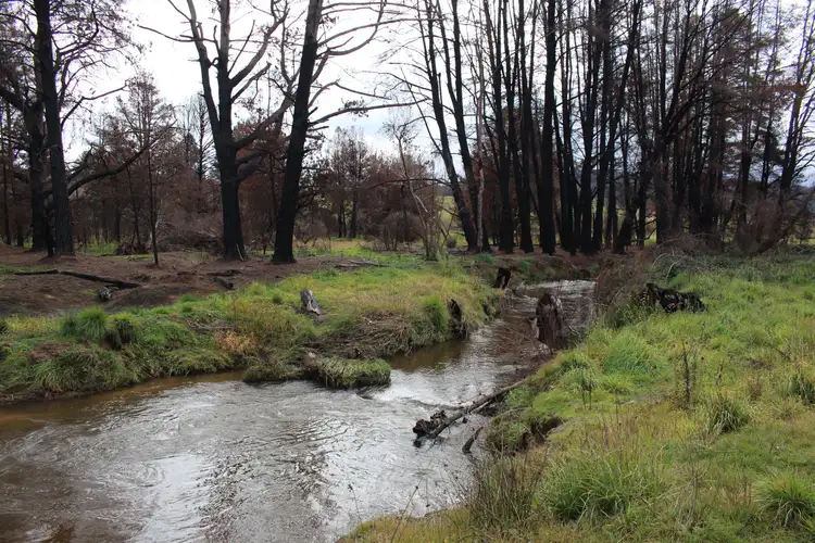 Sixth view of Homely land listing, 359 Batlow Road, Tumbarumba NSW 2653