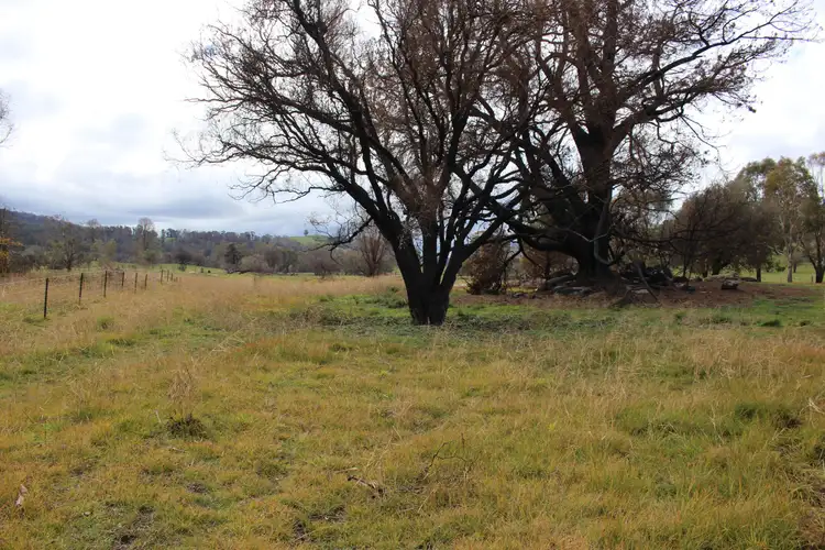 Seventh view of Homely land listing, 359 Batlow Road, Tumbarumba NSW 2653