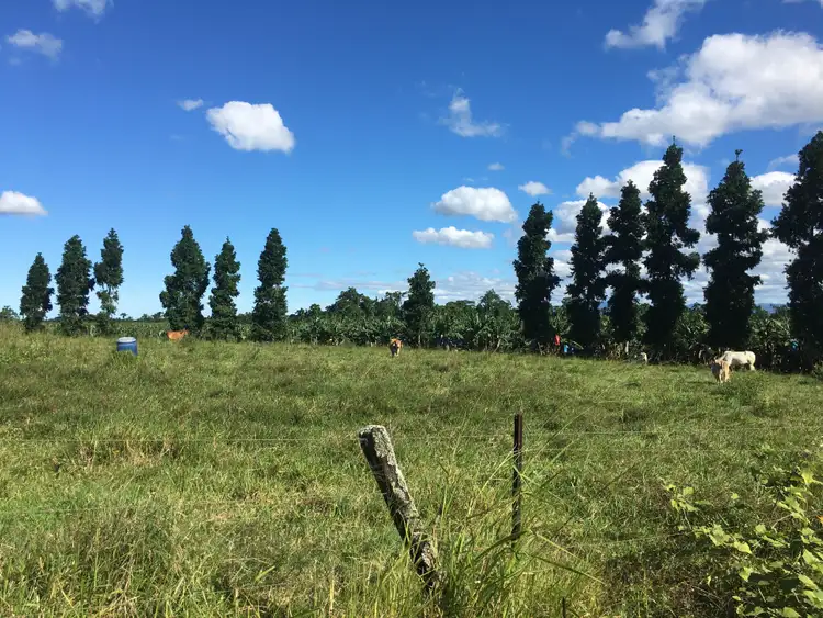 Fifth view of Homely land listing, 360 Jubilee Road, Jubilee Heights QLD 4860