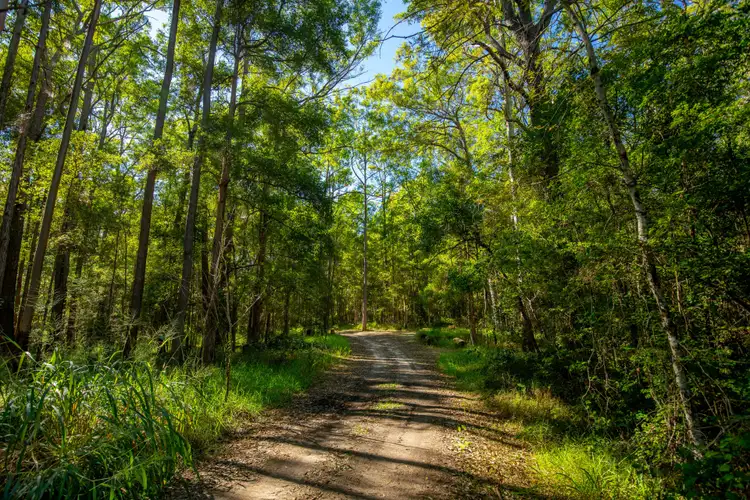 Main view of Homely land listing, 268 Kinmond Creek Road, Cootharaba QLD 4565