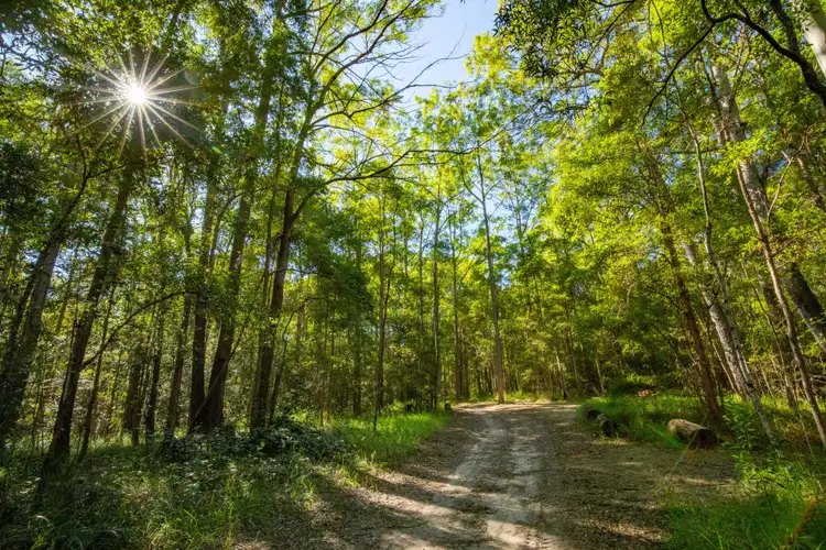 Second view of Homely land listing, 268 Kinmond Creek Road, Cootharaba QLD 4565