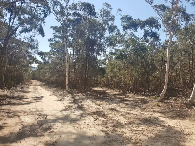 Main view of Homely rural property listing, 185 Bells Lane, Bendoura, Braidwood NSW 2622