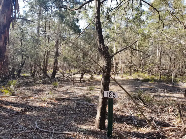 Second view of Homely rural property listing, 185 Bells Lane, Bendoura, Braidwood NSW 2622
