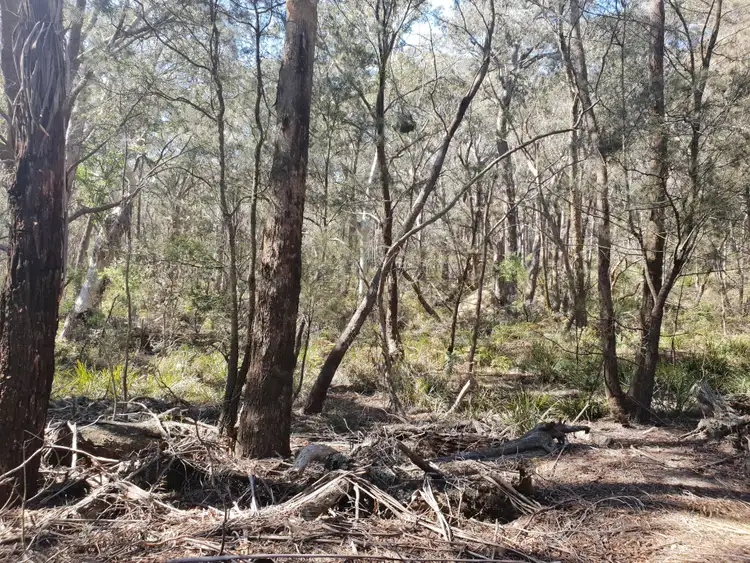 Fourth view of Homely rural property listing, 185 Bells Lane, Bendoura, Braidwood NSW 2622