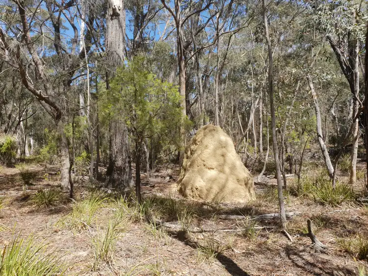 Seventh view of Homely rural property listing, 185 Bells Lane, Bendoura, Braidwood NSW 2622