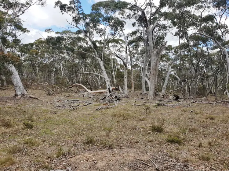 Fifth view of Homely rural property listing, 88c Kirriford, Nerriga NSW 2622