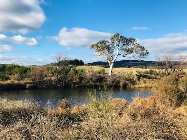 Main view of Homely rural property listing, 4687 Cooma Road, Braidwood NSW 2622