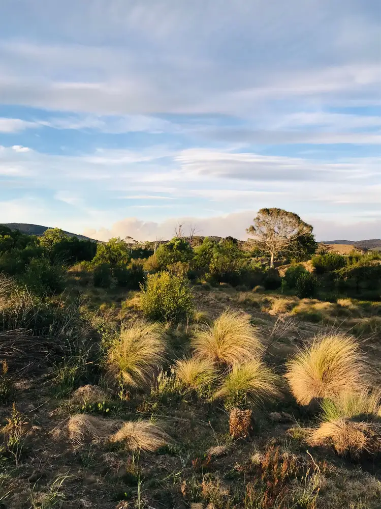Fourth view of Homely rural property listing, 4687 Cooma Road, Braidwood NSW 2622