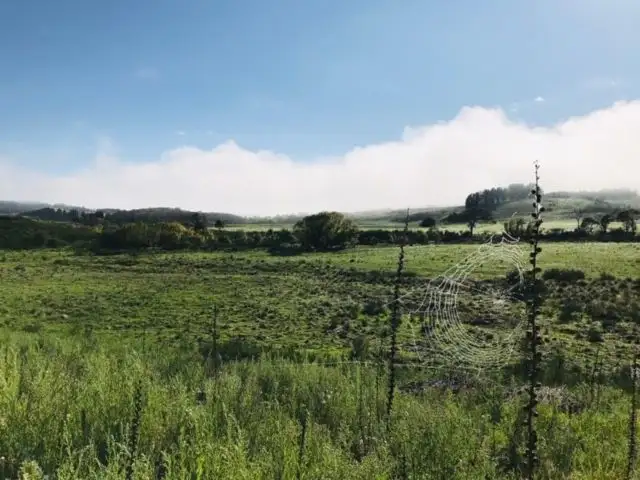 Sixth view of Homely rural property listing, 4687 Cooma Road, Braidwood NSW 2622