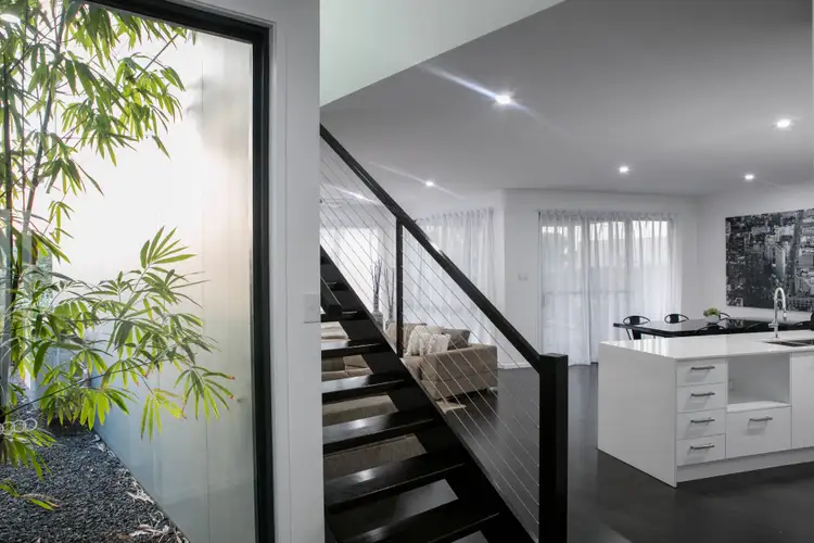 Main view of Homely house listing, 14 Figtree Lane, Maroochydore QLD 4558