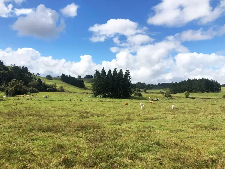 Fifth view of Homely rural property listing, Address available on request