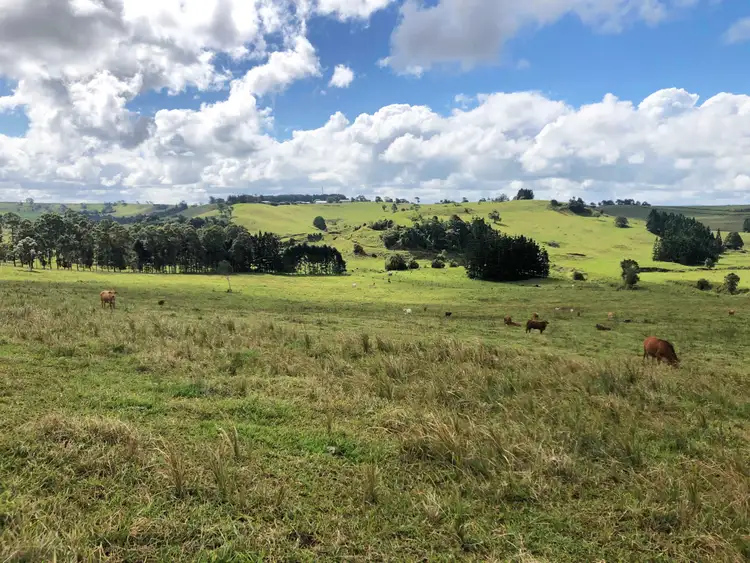 Sixth view of Homely rural property listing, Address available on request