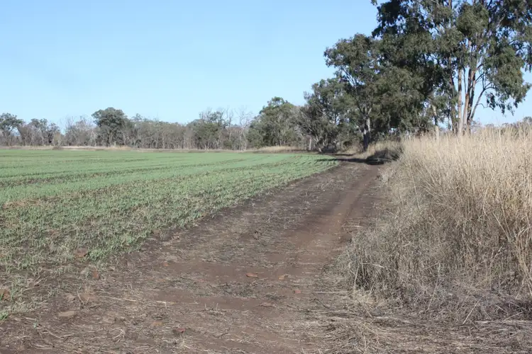 Fourth view of Homely rural property listing, 0 Wiemers Road, Broxburn QLD 4356